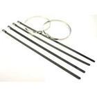 PANDUIT Stainless Steel Cable Ties 3